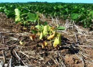 «El golpe económico ya se empieza a sentir en el interior»