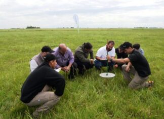 Pasto, la oportunidad para intensificar