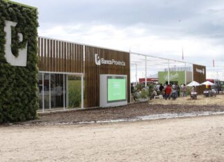 Los bancos afilan los números