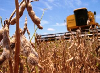 El mejor febrero desde 2008 para los precios