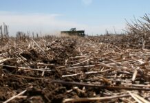 “Suelos sanos para ciudades saludables”