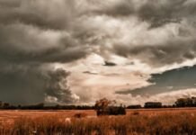 Se confirmó El Niño: oportunidades y riesgos para la campaña