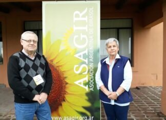El girasol despliega todas sus virtudes en el Oeste