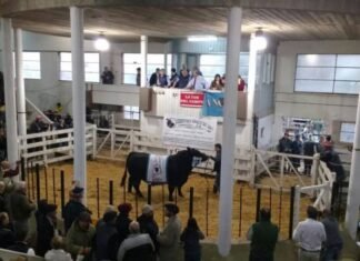 Villa Bordeu cerró con las ventas