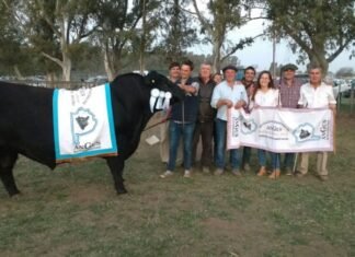 Aldazabal y Sillero hicieron doblete de Angus en Bordeu