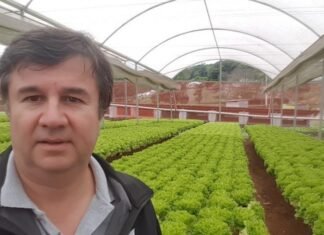 Un seguro para mejorar la performance de los herbicidas