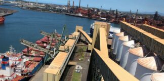 La exportación de Trigo a Brasil en pleno crecimiento