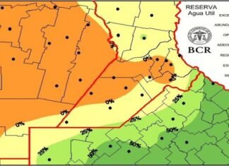 Trigo: el clima se cobró 200 mil toneladas en la zona núcleo