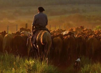 Es oficial y hay aumento para los trabajadores rurales
