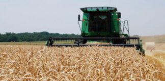 RAQ: Avanza la fina en la región