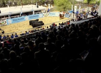El gran remate de Don Romeo en imágenes