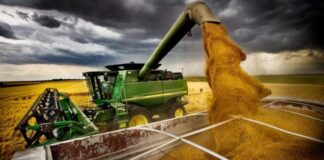 Trigo y Cebada impulsaron la liquidación de divisas en enero