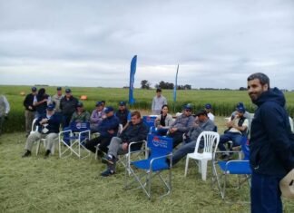 El Trigo fue eje en Coronel Suárez