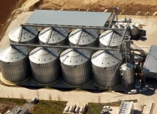 Sector agroexpotador: ingresó más de 1.700 mill/U$S en Agosto