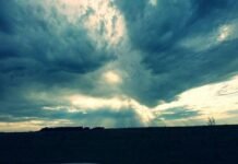 El Niño abre una ventana de alta producción