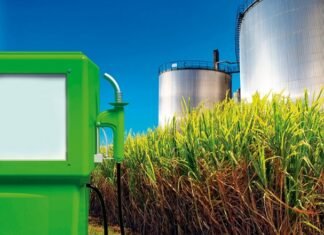 Bioenergía bonaerense en pleno crecimiento
