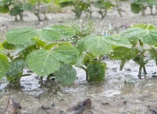 Vuelven las tormentas al país