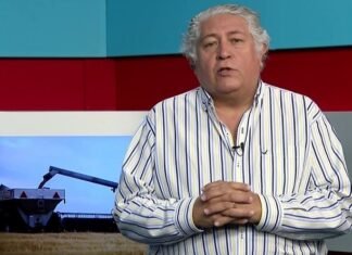 La oferta de soja de Sudamérica sigue en caída libre y los precios, sin techo