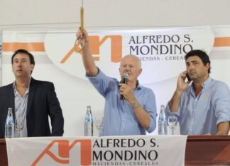 Mondino puso la vara muy alta por TV