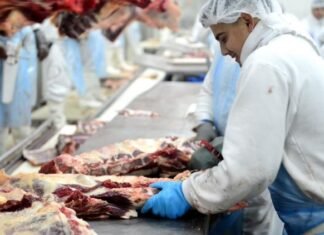 Argentina llegaría este año al millón de toneladas exportadas