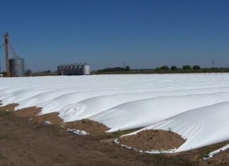 Desarrollan un silo bolsa que repele roedores y aves