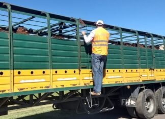 SENASA realiza controles en rutas