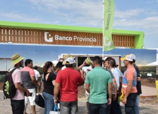 Procampo: Tasas especiales para compra de maquinarias
