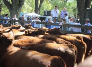 Rústicos tiene el primer evento del año