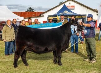 La Expo de Otoño quedó suspendida