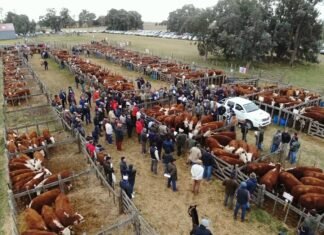 Nostálgica despedida del Hereford en La Legua