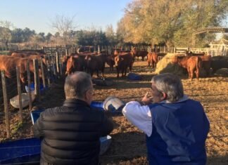 Llegan los colorados de Lizaso a Cañuelas