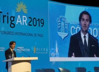 ¿Necesita el trigo contar con un Instituto de Promoción?