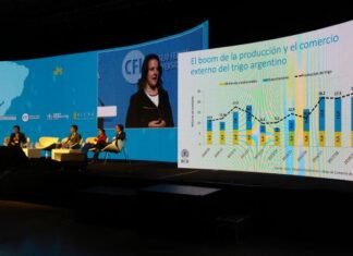 Trigo: el salto exportador aún puede ser mayor