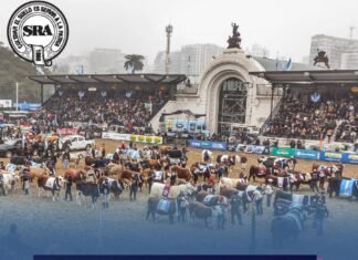 Se realizará «La semana de la carne» en La Rural