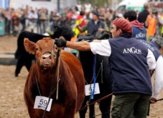 Se viene una muy atractiva «Semana de la carne»