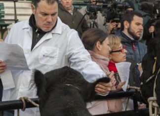 Variadas actividades del SENASA en Palermo