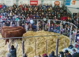 La Torcacita tuvo su 16º Venta Anual