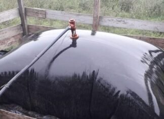 Tecnología low cost para producir energía en el campo