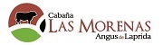 las morenas