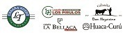 cabañas salliquelo