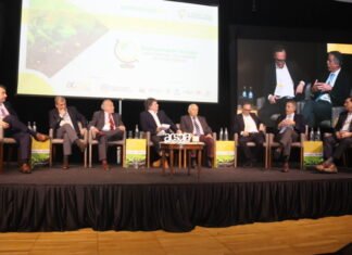 Argentina depende cada vez más de la exportación agroindustrial