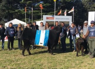 El Angus llega a Tandil con todo
