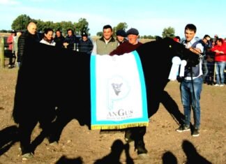 Aldazábal sigue siendo profeta en su tierra