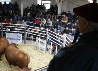 Santa Rosa anduvo muy bien en Tres Arroyos