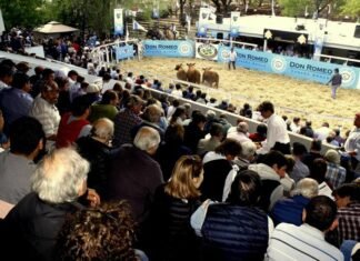 Don Romeo, una gran fiesta de principio a fin