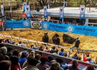 Don Romeo prepara su gran venta anual