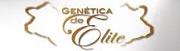 elite Ojea