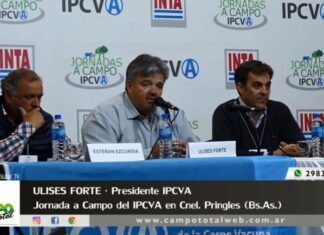 Entrevista a Ulises «Chito» Forte