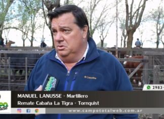 Entrevista a Manuel Lanusse