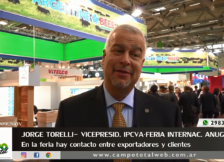 Entrevista a Jorge Torrelli